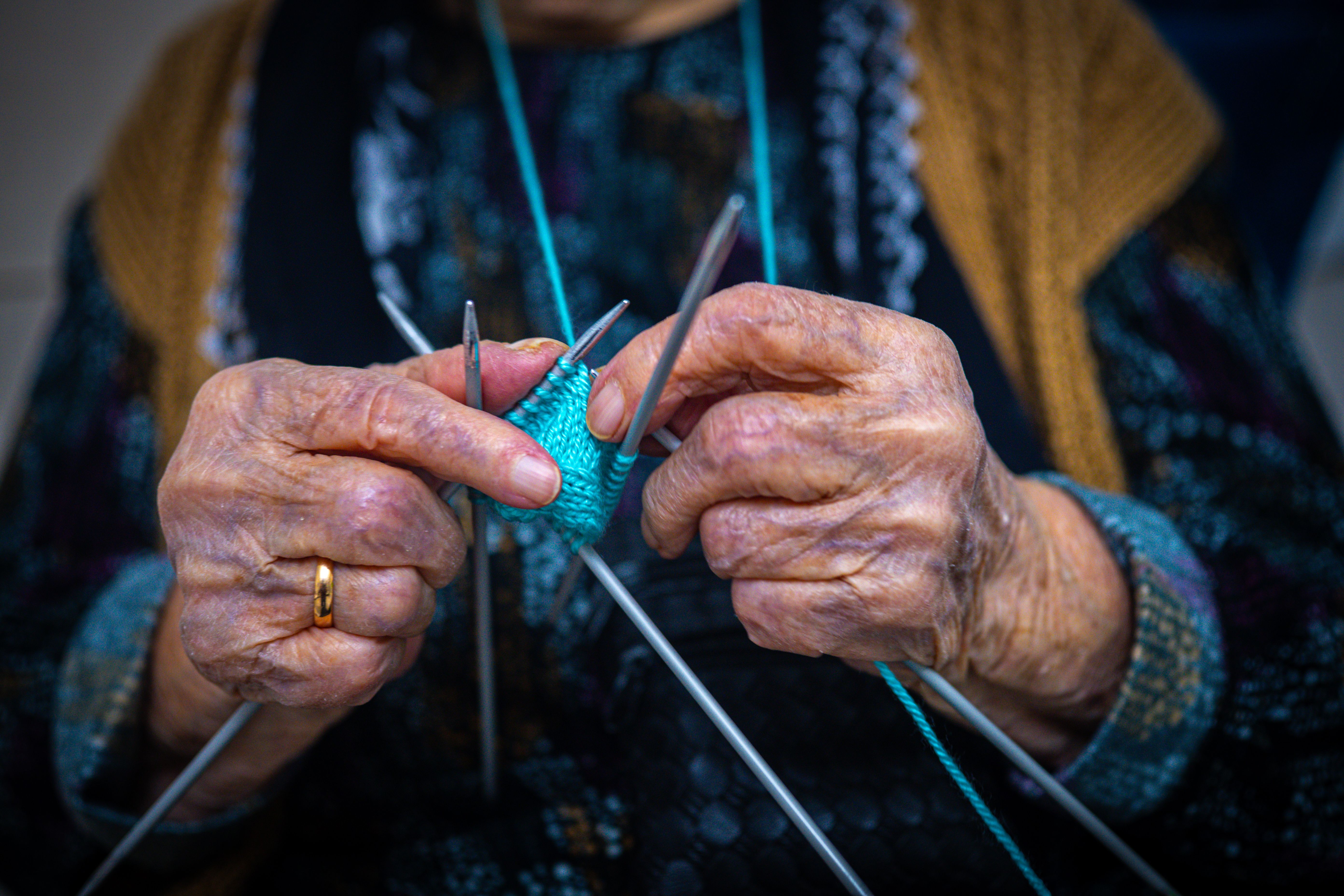 Worldwide Knit in Public Day