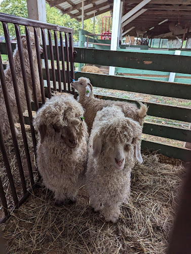 Shenandoah Valley Fiber Festival