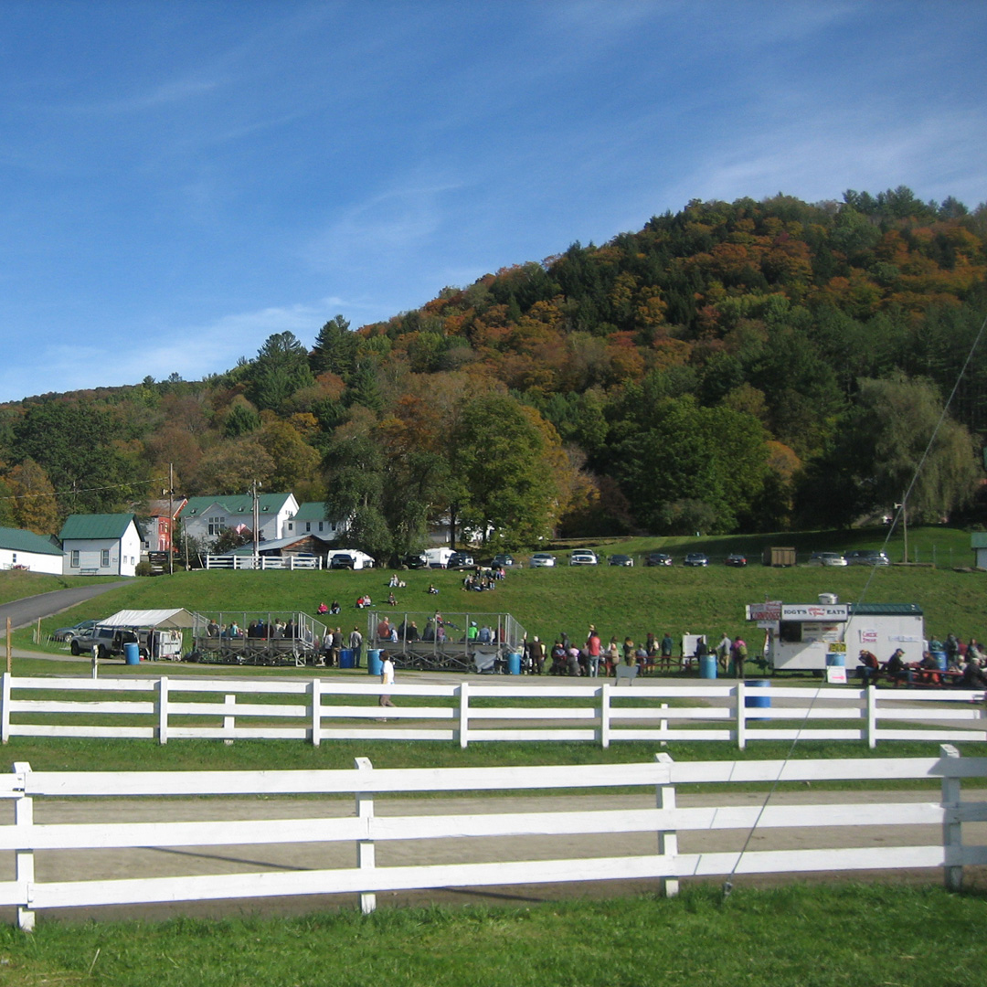 Vermont Sheep & Wool Festival (2)