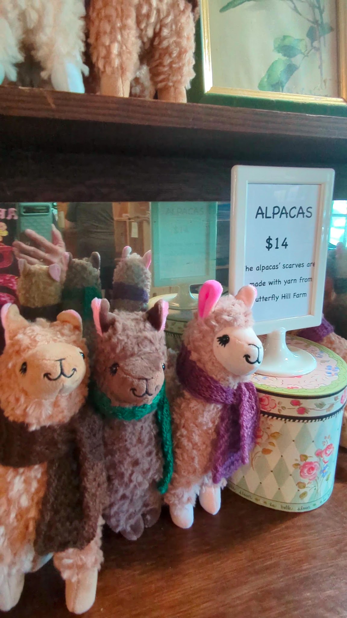 Butterfly Hill Farm Store (3)